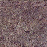 marmor011.jpg